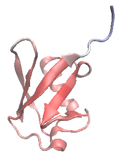 image-20260814162913144